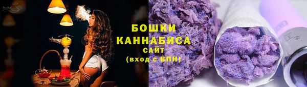 бошки Дмитров