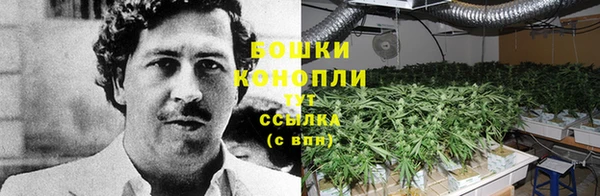 эйфоретик Дмитровск