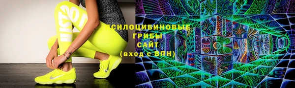 бошки Дмитров