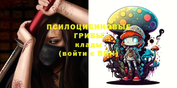 бошки Дмитров