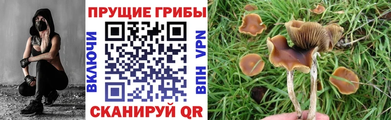мега как зайти Мытищи Галлюциногенные грибы ЛСД