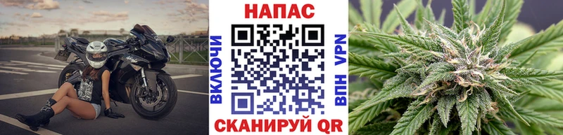 Конопля Ganja Мытищи